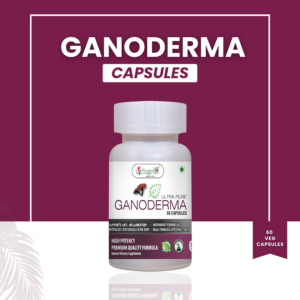 ganoderma capsules