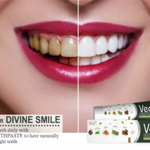 vringra vedic herbal toothpaste