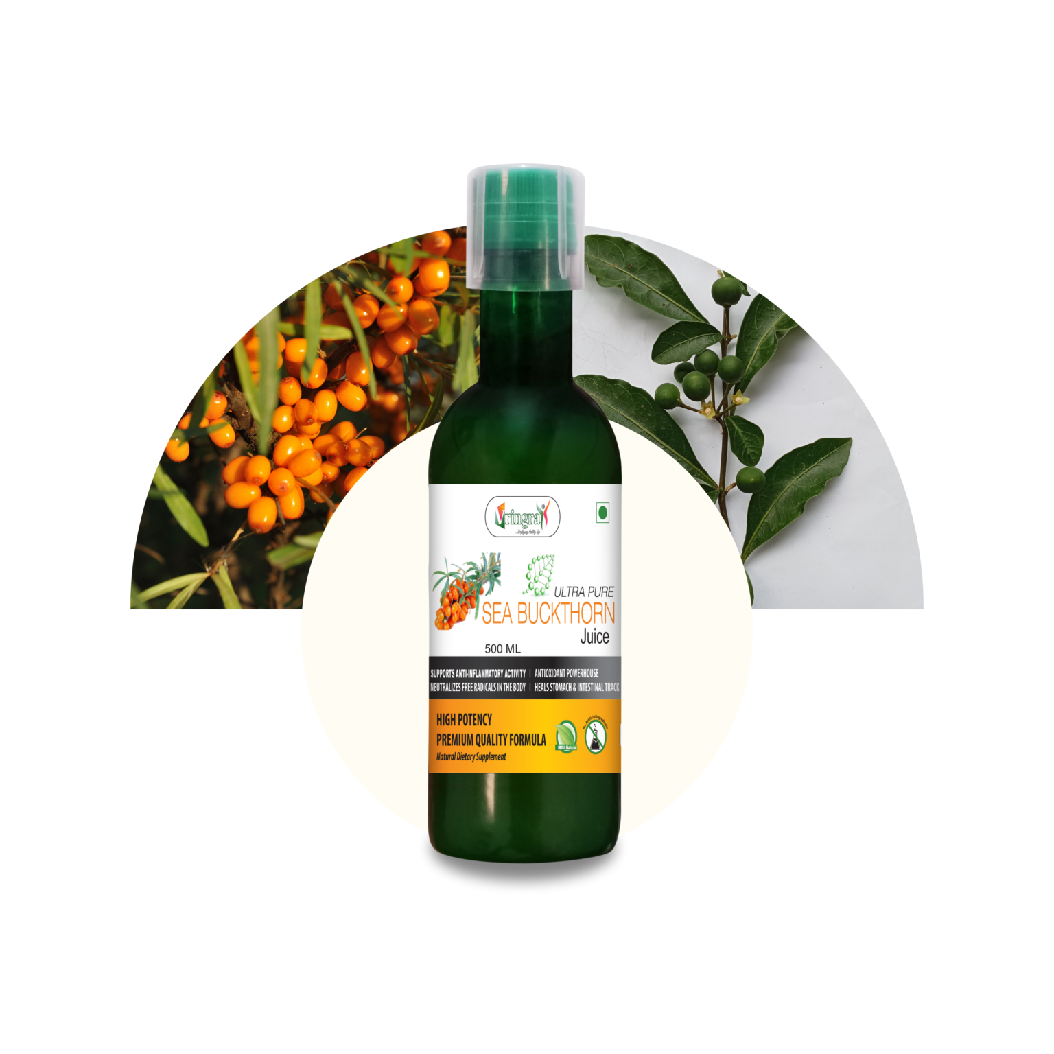 blue and white modern responsive website development services instagram post (1)