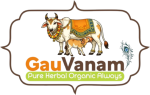 whatsapp image 2026 03 11 at 4.25.00 pm removebg preview